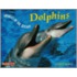 Dolphins Dolphins
