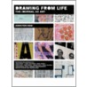 Drawing from Life door Jennifer New