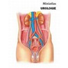 Miniatlas Urologie door L.R. Lepori