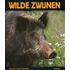 Wilde zwijnen