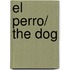 El Perro/ The Dog