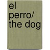 El Perro/ The Dog door Jimena Cruz