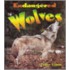 Endangered Wolves