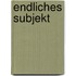 Endliches Subjekt
