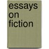 Essays On Fiction