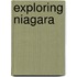 Exploring Niagara