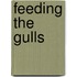 Feeding the Gulls