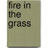 Fire In The Grass