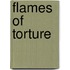 Flames Of Torture