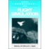 Flight Simulation