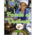 Foods Of Thailand