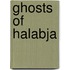Ghosts Of Halabja