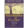 Glimpses of Glory door David Adam