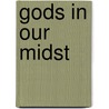 Gods in Our Midst by Christine Downing