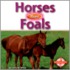 Horses Have Foals