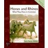 Horses and Rhinos