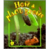 How A Plant Grows door Bobbie Kalman