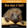 How Does It Feel? by Bobbie Kalman