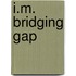 I.M. Bridging Gap