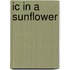 Ic In A Sunflower