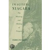 Imagining Niagara door Patrick McGreevy