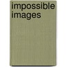 Impossible Images by Shelley Hornstein
