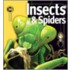 Insects & Spiders