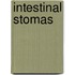 Intestinal Stomas