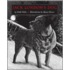 Jack London's Dog