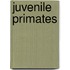 Juvenile Primates