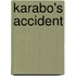 Karabo's Accident
