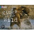 Kings Of The Wild