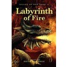 Labyrinth Of Fire door Keith Robinson