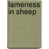 Lameness In Sheep