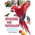 Opvoeding van papegaaien