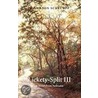 Lickety-Split Iii by J. Gordon Schrempp