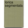 Lorica Segmentata door M.C. Bishop