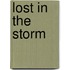 Lost In The Storm