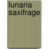 Lunaria Saxifrage by Unknown