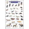 Mammals and Birds by Craig MacGowan