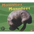 Manaties/Manatees