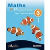 Maths In Practice by Suzanne Shakes