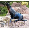 Meet the Sea Lion door Susanna Kelley