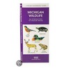 Michigan Wildlife by James Kavanaugh