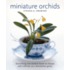 Miniature Orchids