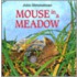 Mouse in a Meadow