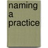 Naming a Practice