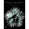 Natural Art Forms by Karl Blossfeldt