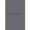 Niv Pocket  Bible by Ibs-Stl