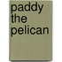 Paddy The Pelican